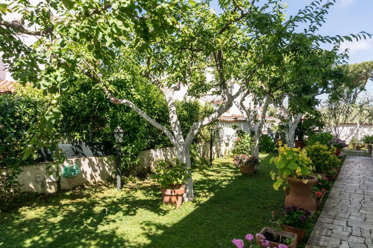 Casa Silvestro Villa Lido dei Pini Exterior foto